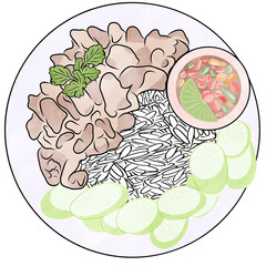 Rice with grilled beef topped,Cucumber,Coriander and chili with chili in fish sauce.Hand drawn,Creative with illustration in flat design,watercolor.