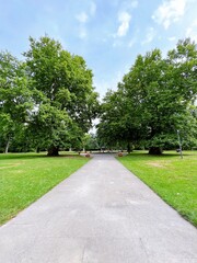 path in the park