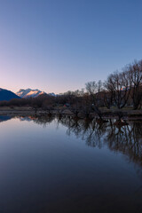 Line of trees with reflection on the lake.