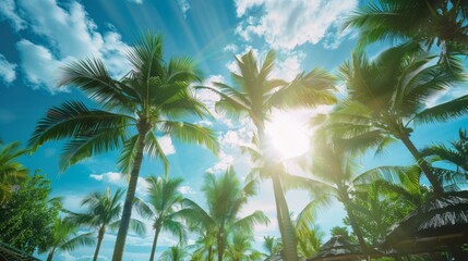 Fototapeta premium Tall palm trees basking in sunlight with vibrant green leaves, set against a clear blue sky. The scene captures the essence of a serene and tropical paradise, evoking feelings of relaxation and warmth