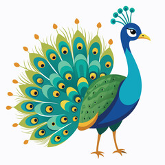 peacock with feathers