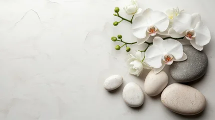 White Orchids with Smooth Stones on a Textured White Background