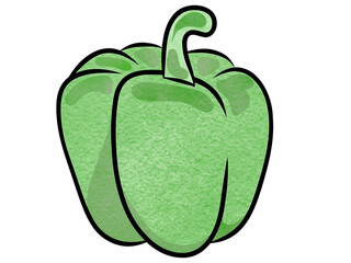 Green bell pepper.Fresh organic peper.Hand drawn.Creative illustration in flat style,watercolor.