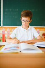 Portrait of little boy studying in classroom at school