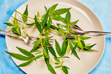 natural still life with hemp branches on a plate and forks on a blue background, close-up, healthy...