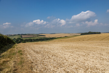 A rural Sussex farm view on a sunny summer's day