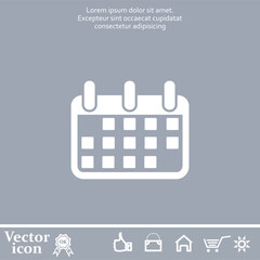 Vector icon of white color on a gray background