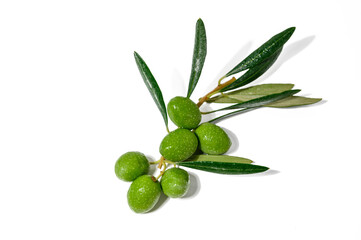Fresh green olives and leaves pattern on white background
