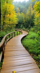 Obraz premium Winding Wooden Pathway Through Fall Foliage