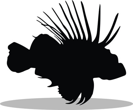 recommend clip art: Lionfish Silhouette, Lionfish Vector Silhouette, Lionfish cartoon Silhouette, Lionfish illustration, Lionfish icon Silhouette, Lionfish Silhouette illustration