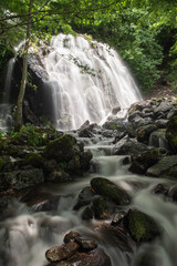 Obraz premium Amicalola Falls in the North Georgia mountains in spring. Georgia waterfalls. Waterfalls in the Svaneti region. Waterfall photos taken with long exposure.