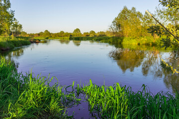A calm lake with a green grassy bank