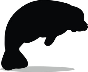 Manatees Silhouette, Manatees Vector Silhouette, Manatees cartoon Silhouette, Manatees illustration, Manatees icon Silhouette, Manatees Silhouette illustration