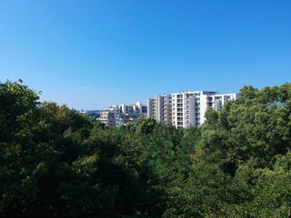 Fototapeta premium 真夏の公園の森と近くマンションの風景