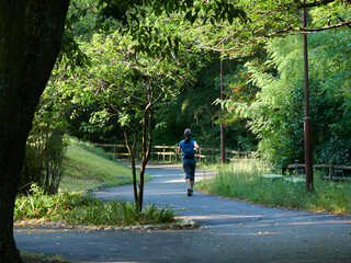 真夏の朝の公園でランニングする若い女性の姿