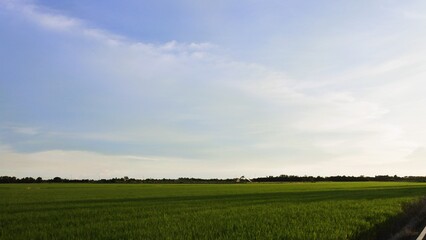 field and blue sky