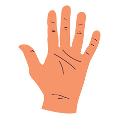 Male palm vector cartoon illustration isolated on a white background.