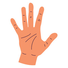 Simple male hand vector cartoon illustration isolated on a white background.