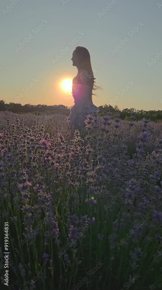 Poster young woman in a lavender field at sunset