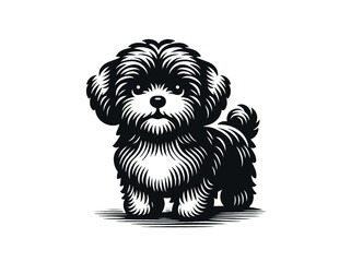 Maltipoo is a cute dog. Vintage vector black and white illustration sketch. Retro logo, emblem, cut out, print, tattoo