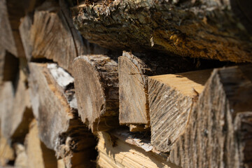 dried brown wooden firewood neatly stacked in a pile