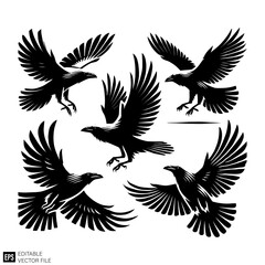 Obraz premium set of raven vector graphic design black and white clip art silhouette