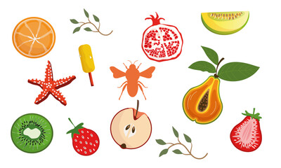 fruits on white background,summer season, vector
