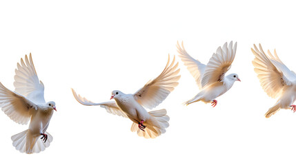 Obraz premium Flying birds formation of pigeons many isolated for backgound spring ai generative..