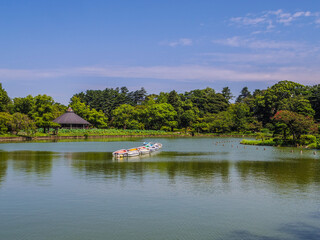 【千葉県】千葉市・千葉公園の綿打池