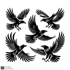 Obraz premium set of raven vector graphic design black and white clip art silhouette