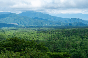 美し森展望台からの広大な眺め