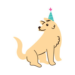 funny dog with party hat