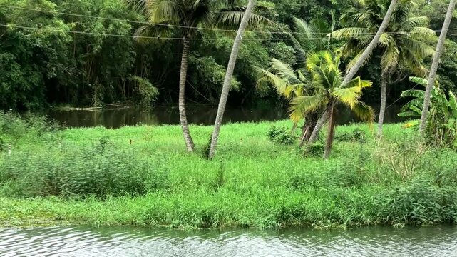 Beautiful landscape with full of trees and a river