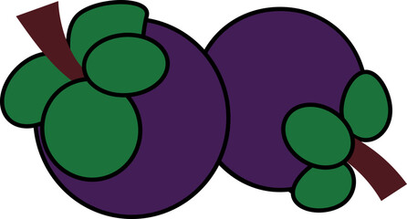 mangosteen vector shape