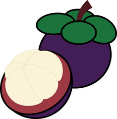 mangosteen vector shape
