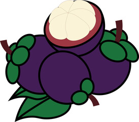 mangosteen vector shape