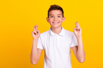 Photo of cheerful positive boy dressed polo t-shirt smiling fingers crossed emtpy space isolated yellow color background