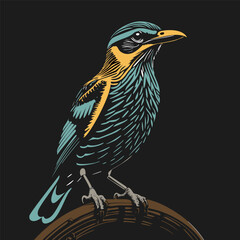 A striking, stylized bird illustration with detailed feathers and vibrant colors, ideal for nature-inspired art, prints, or creative design projects.