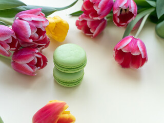 Green macaroons on the background of blooming red tulips. Card mother's day, birthday, international women's day