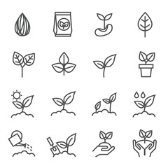 Plant icon, Line icons vector
