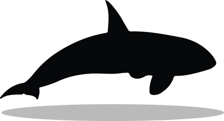 Obraz premium Orcas Silhouette, Orcas Vector Silhouette, Orcas cartoon Silhouette, Orcas illustration, Orcas icon Silhouette, Orcas Silhouette illustration