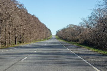 Ruta arbolada