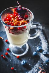 Panna cotta with lingonberries and granola, decorated with dried flowers on a black background. A light and healthy, dietary dessert. Vertical photo. Selected focus.