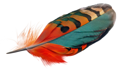 PNG Colorful feather on white background