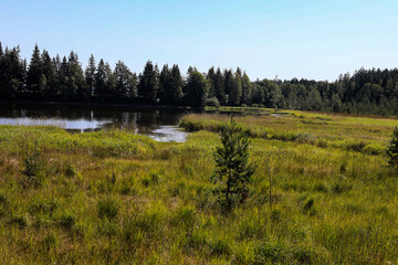Moorlandschaft Bayrische Au im Böhmerwald