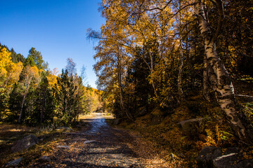 Autumn landscape in Aiguestortes and Sant Maurici National Park, Spain