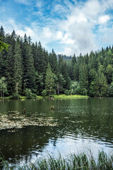 Bikaz Gorge and Lakul Roshu (Red Lake) - Eastern Carpathians - Romania - Europe