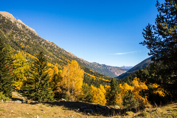Autumn landscape in Aiguestortes and Sant Maurici National Park, Spain