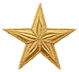 PNG  Simple Golden Star gold star echinoderm.