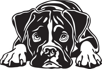 Fototapeta premium Boxer Dog Lying Down Stylized Vector Graphic